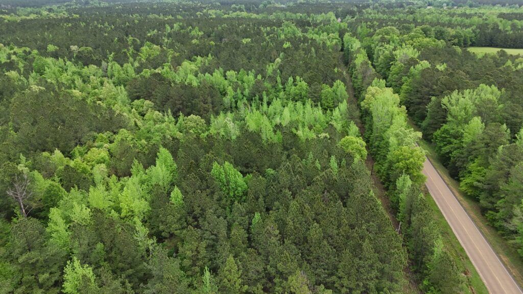 Aerial view of wooded land for sale at McCool Estates, Attala County, Mississippi