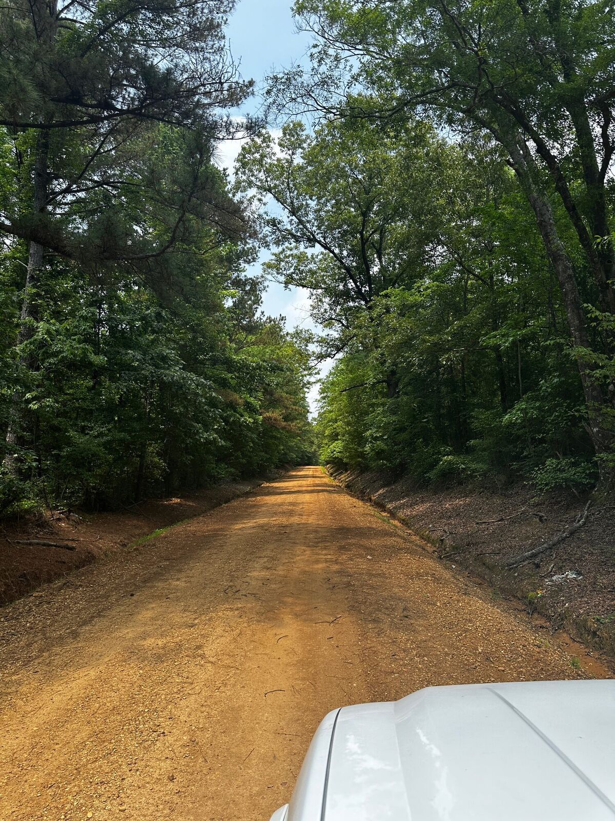 Gravel road frontage at McCool Estates