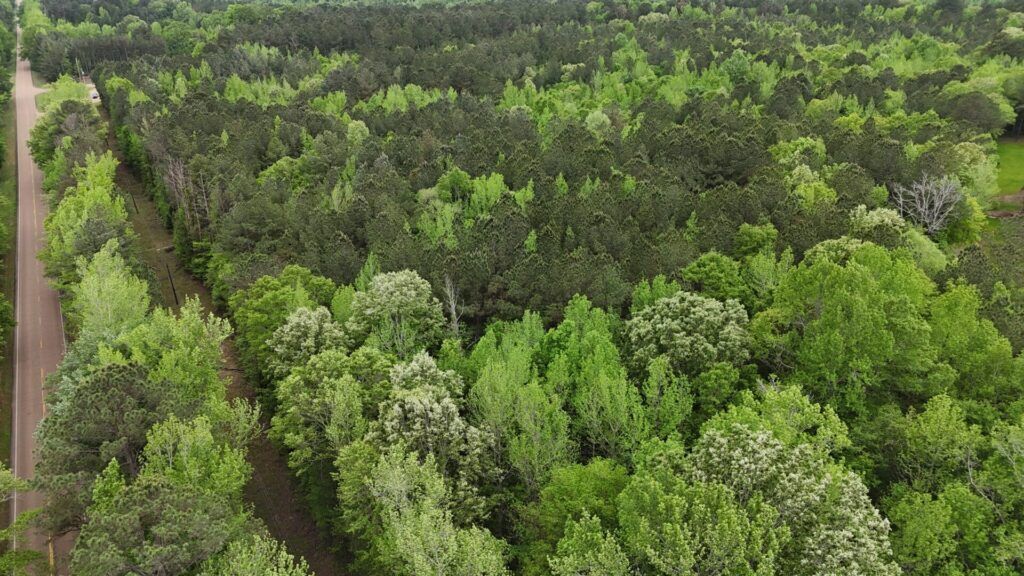 Aerial view of McCool Estates showing the road and timber
